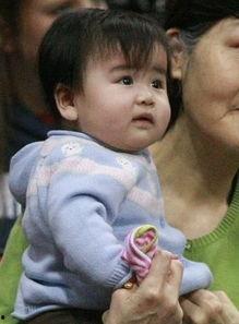 姚泌蕾个人资料